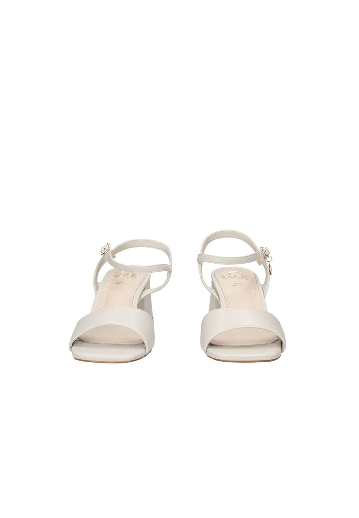 GD42 Sandalo GOLD&GOLD