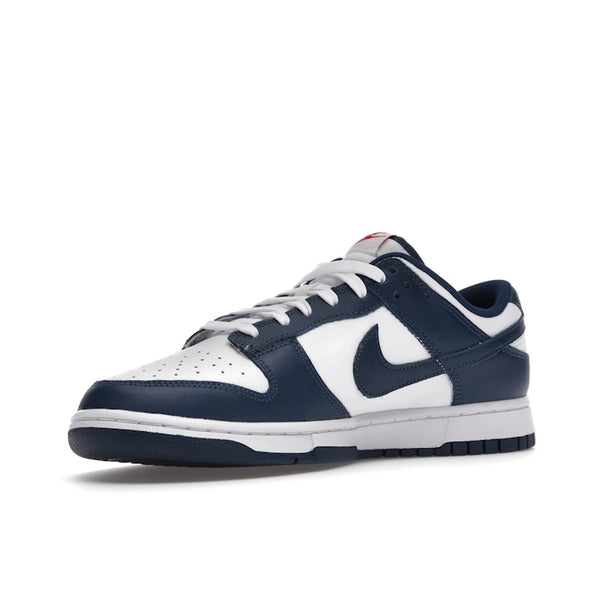 Nike Dunk Low Valerian Blue