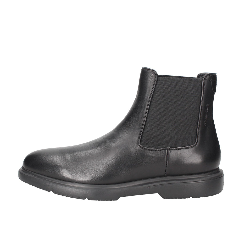 218272/24 Beatles STONEFLY