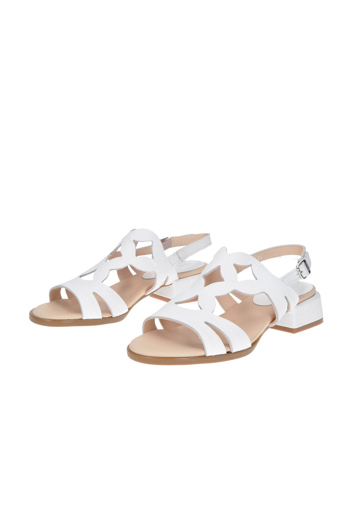 34403 Sandalo CALLAGHAN