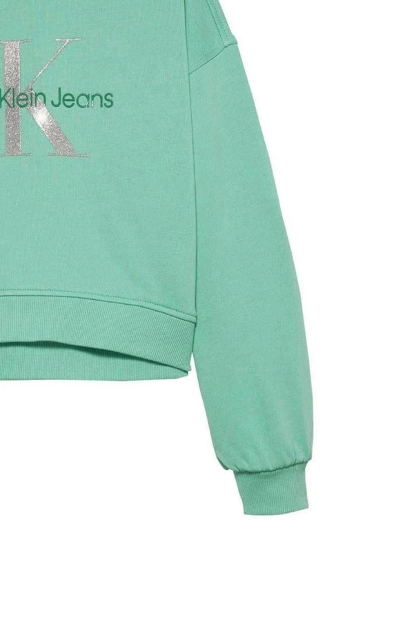 CALVIN KLEIN JEANS GLITTER MONOLOGO CN SWEATSHIRT