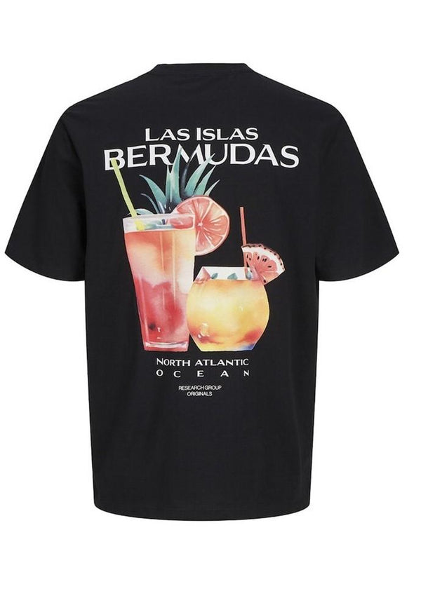 JACK AND JONES JORCONTE TEE SS CREW NECK STYD