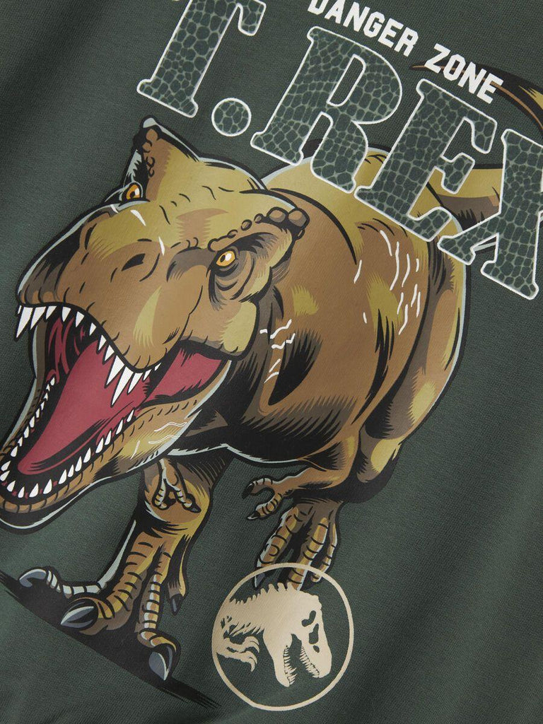 NAME.IT NMMJABA JURASSIC NREG SWEAT UNB SKY