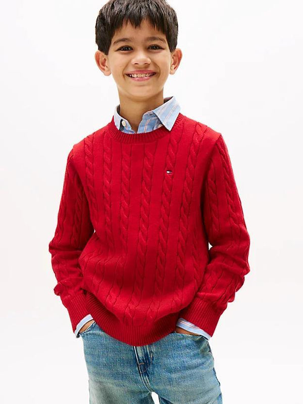 TOMMY HILFIGER COTTON CABLE SWEATER