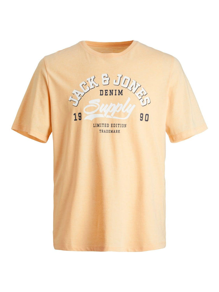 JACK AND JONES JJELOGO TEE SS O-NECK 2 COL SS24 SN