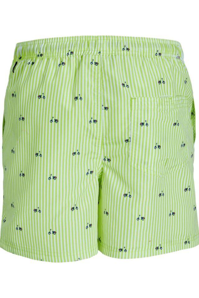 JACK AND JONES JPSTFIJI JJSWIM MINI STRIPE LY