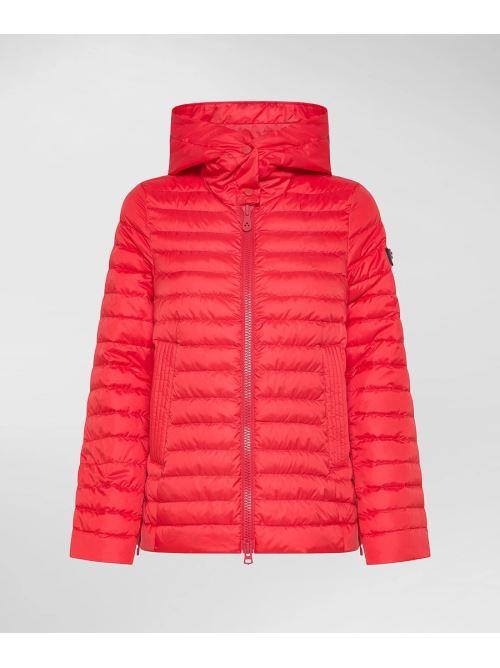 PEUTEREY CALVUS MQE 02