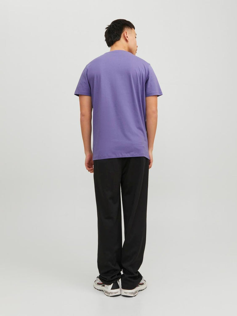 JACK AND JONES JJEORGANIC BASIC TEE SS O-NECK NOOS