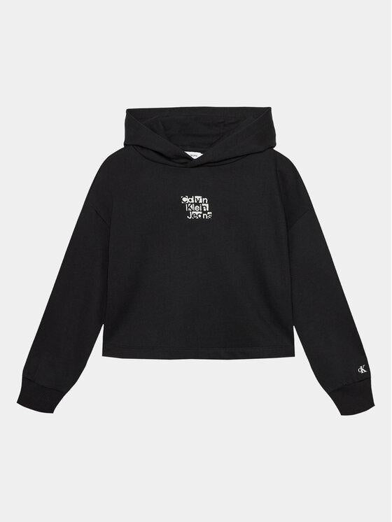 CALVIN KLEIN JEANS METALLIC CKJ BACK LOGO HOODIE