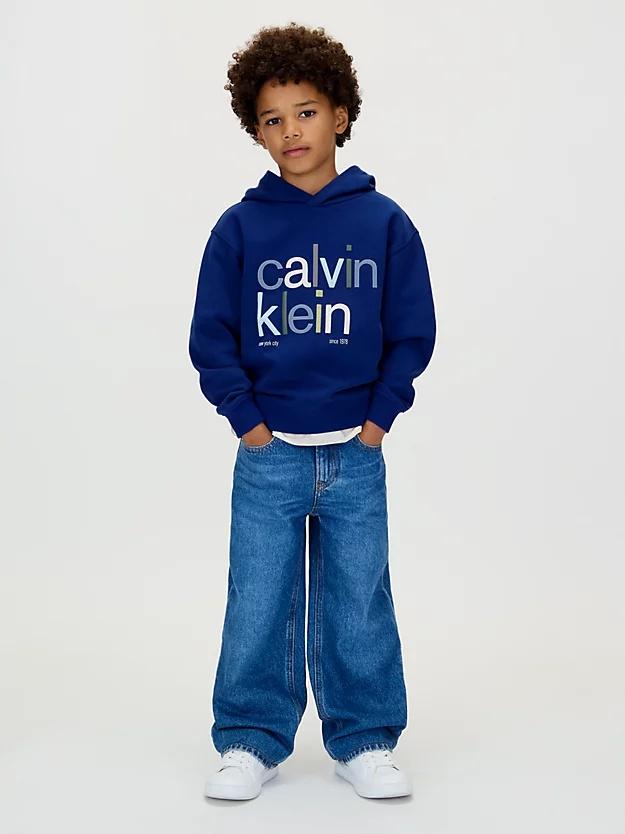 CALVIN KLEIN JEANS COLOR LOGO GRAPHIC TERRY HOODI