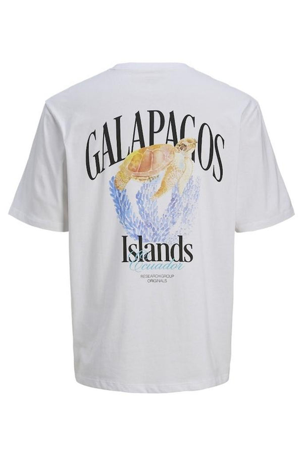 JACK AND JONES JORCONTE TEE SS CREW NECK STYD