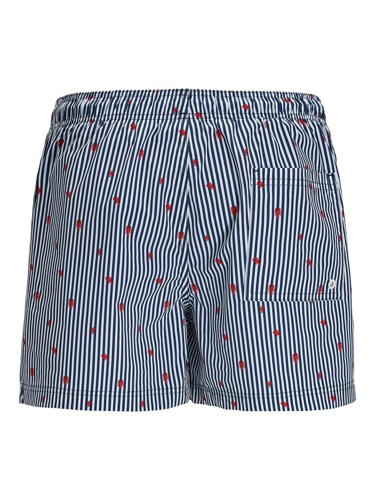 JACK AND JONES JPSTMAUI JJSWIM MINI STRIPE AKM SN