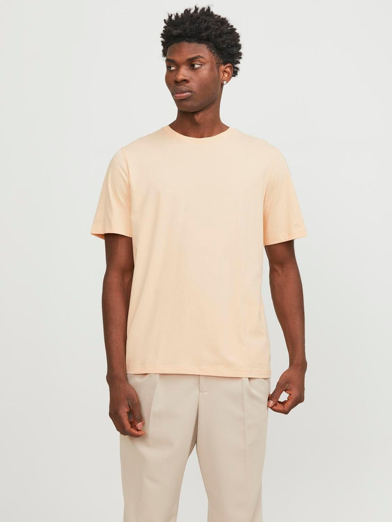 JACK AND JONES JJEORGANIC BASIC TEE SS O-NECK NOOS