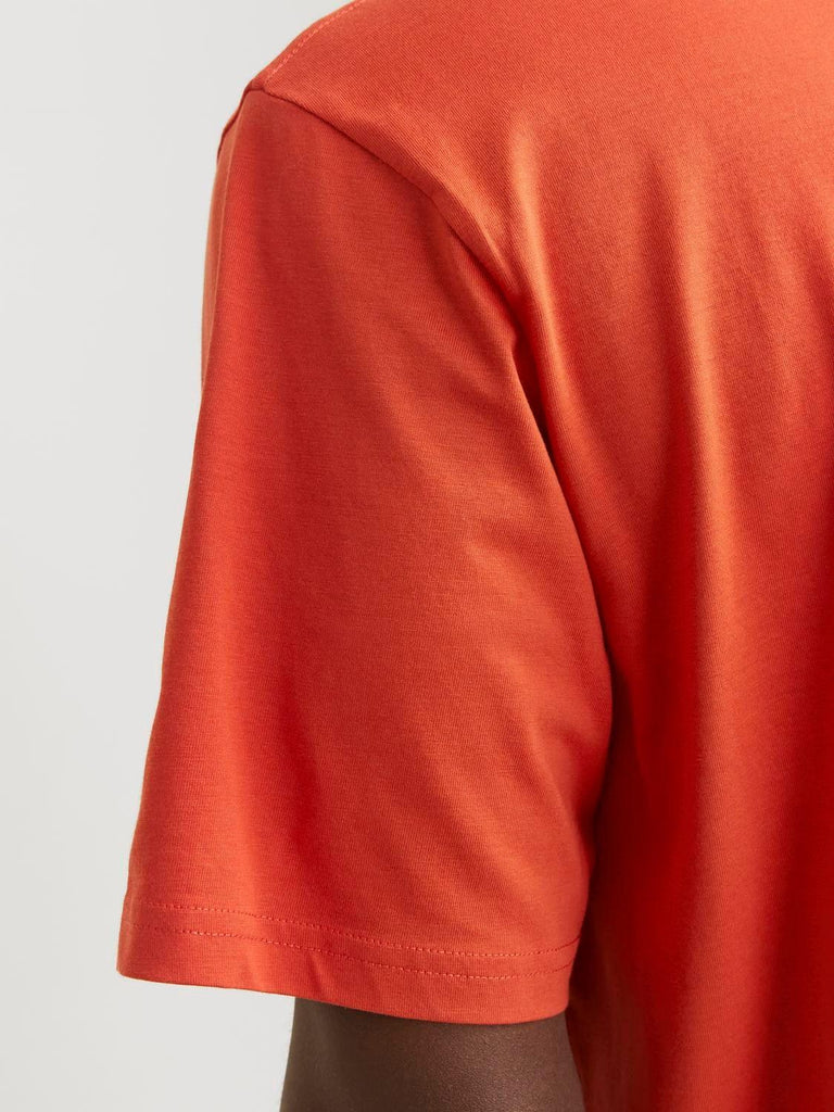 JACK AND JONES JORVESTERBRO TEE SS CREW NECK NOOS