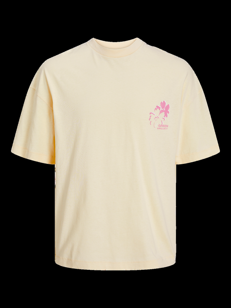 JACK AND JONES JORFARO BACK TEE SS CREW NECK