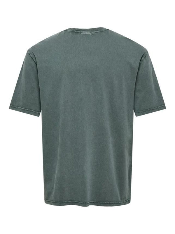 ONLY&SONS ONSFRAIZER RLX SS WASHED TEE