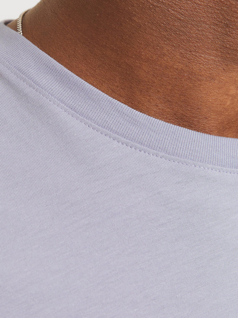 JACK AND JONES JJEORGANIC BASIC TEE SS O-NECK NOOS