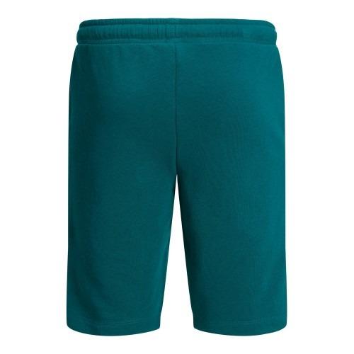 JACK JONES KIDS JPSTLOGO SWEAT SHORTS 2 COL 22/23  JNR