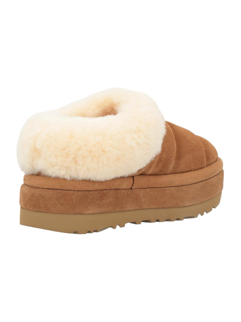UGG Tazzlita