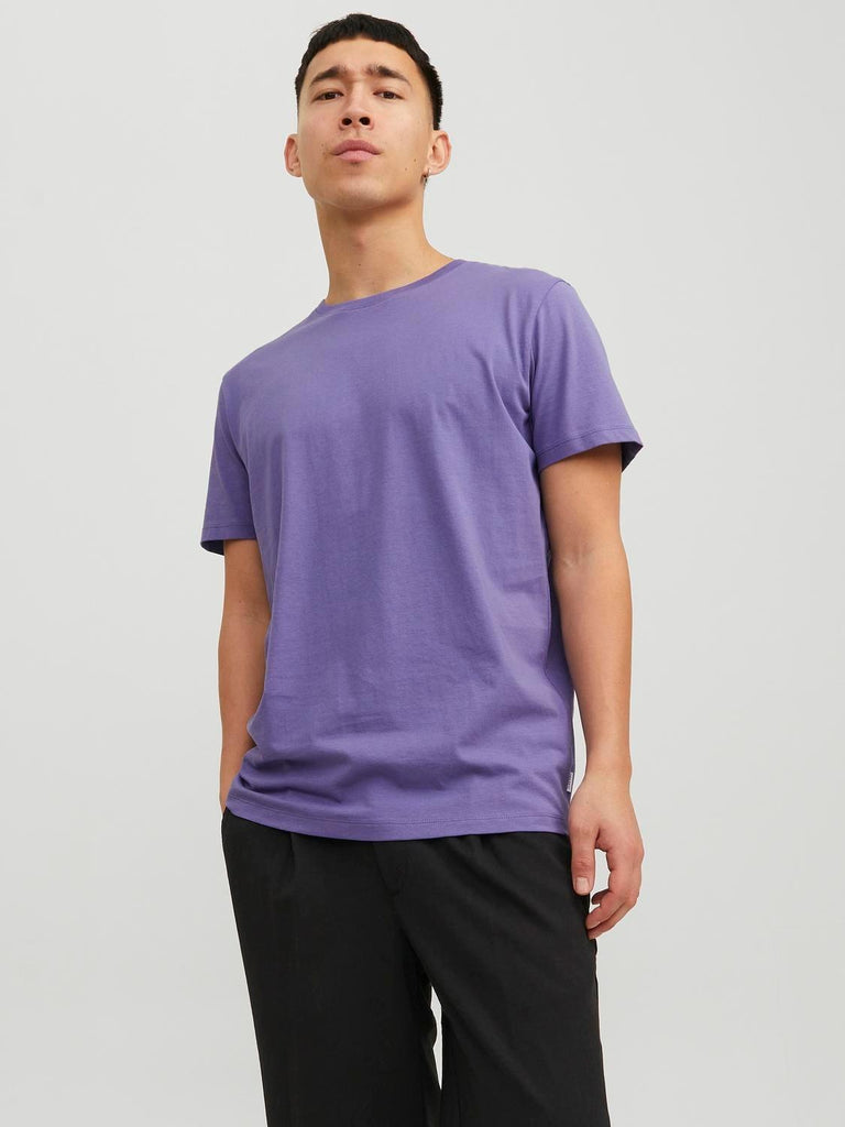 JACK AND JONES JJEORGANIC BASIC TEE SS O-NECK NOOS