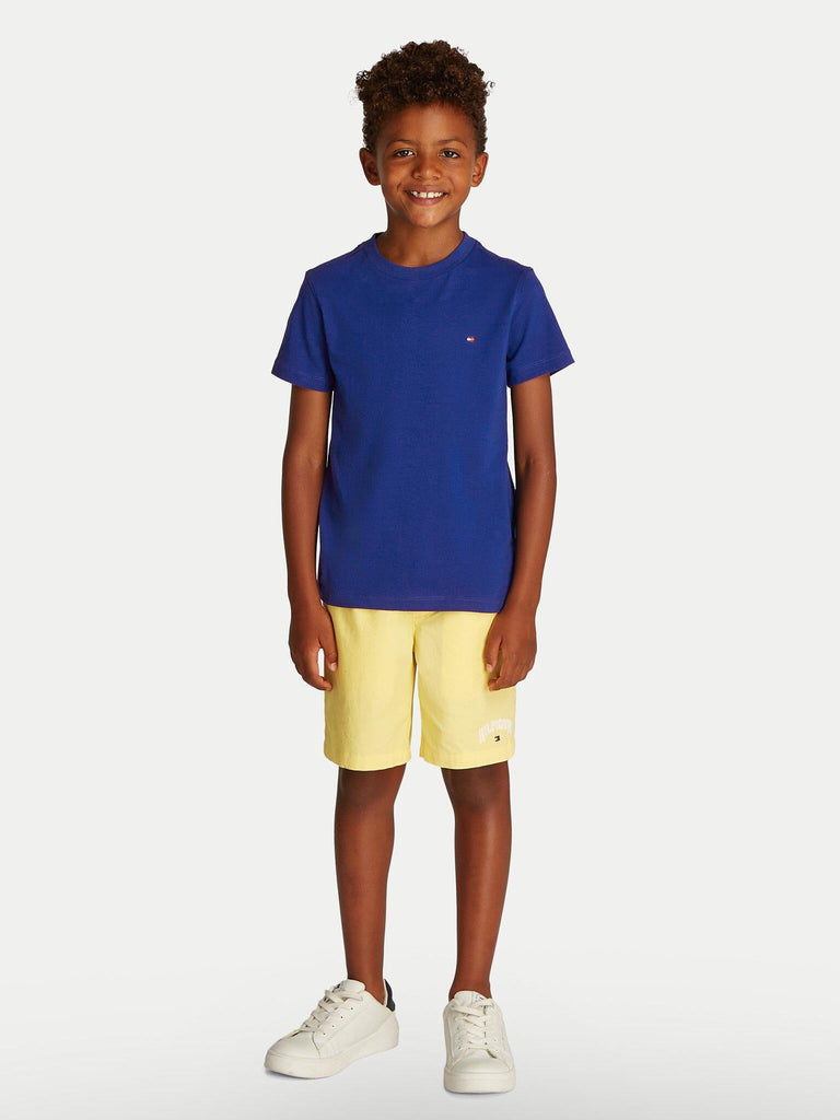 TOMMY HILFIGER ESSENTIAL COTTON REG FIT TEE S