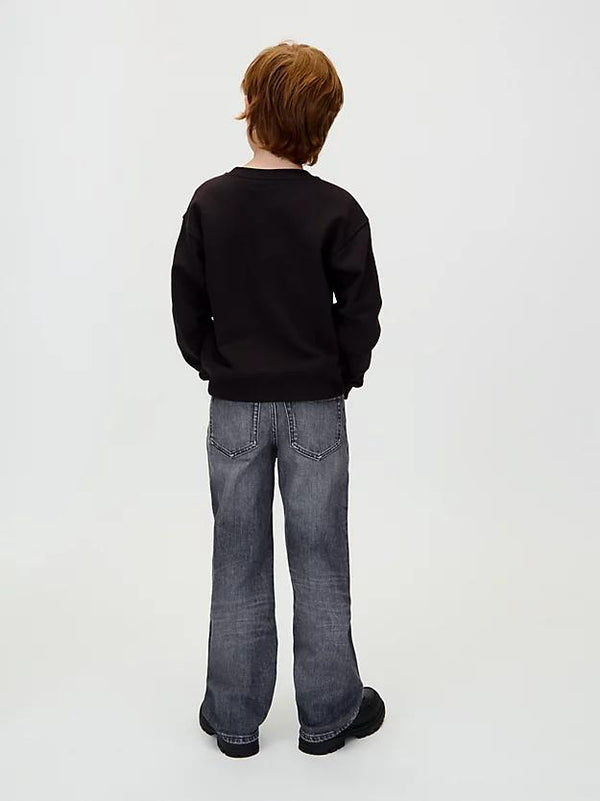 CALVIN KLEIN JEANS FILLED-IN PHOTO FLEECE MONO CN