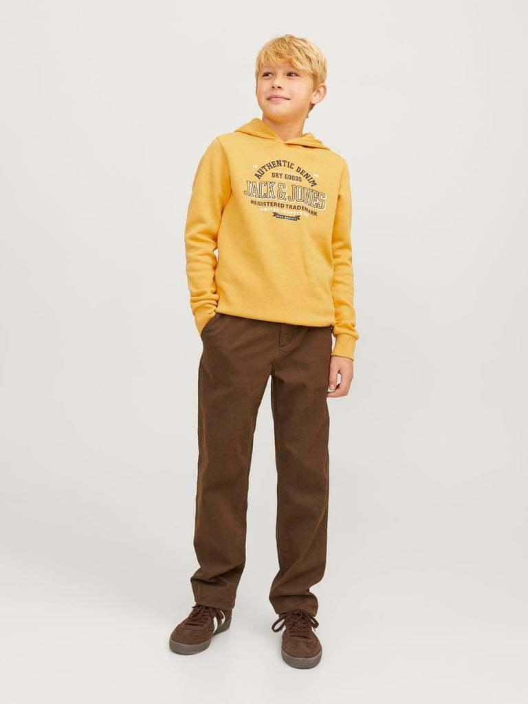 JACK JONES KIDS JJELOGO SWEAT HOOD 2 COL 24/25 NOOS JNR