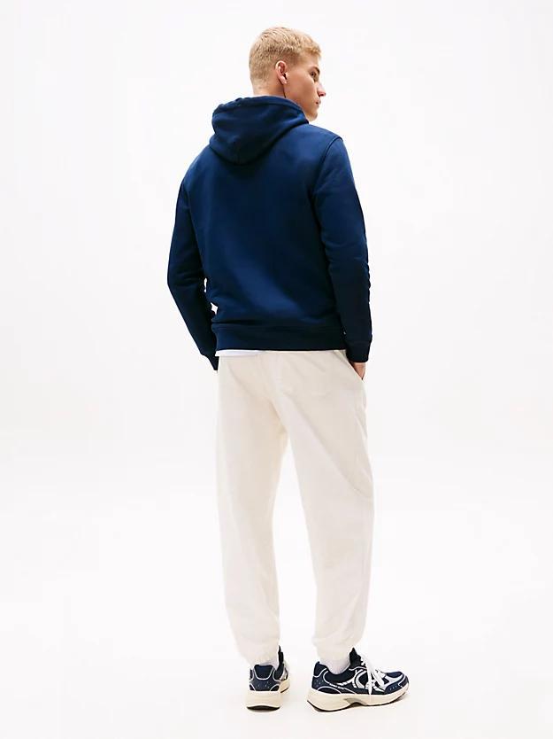 TOMMY JEANS TJM REG BADGE HOODIE