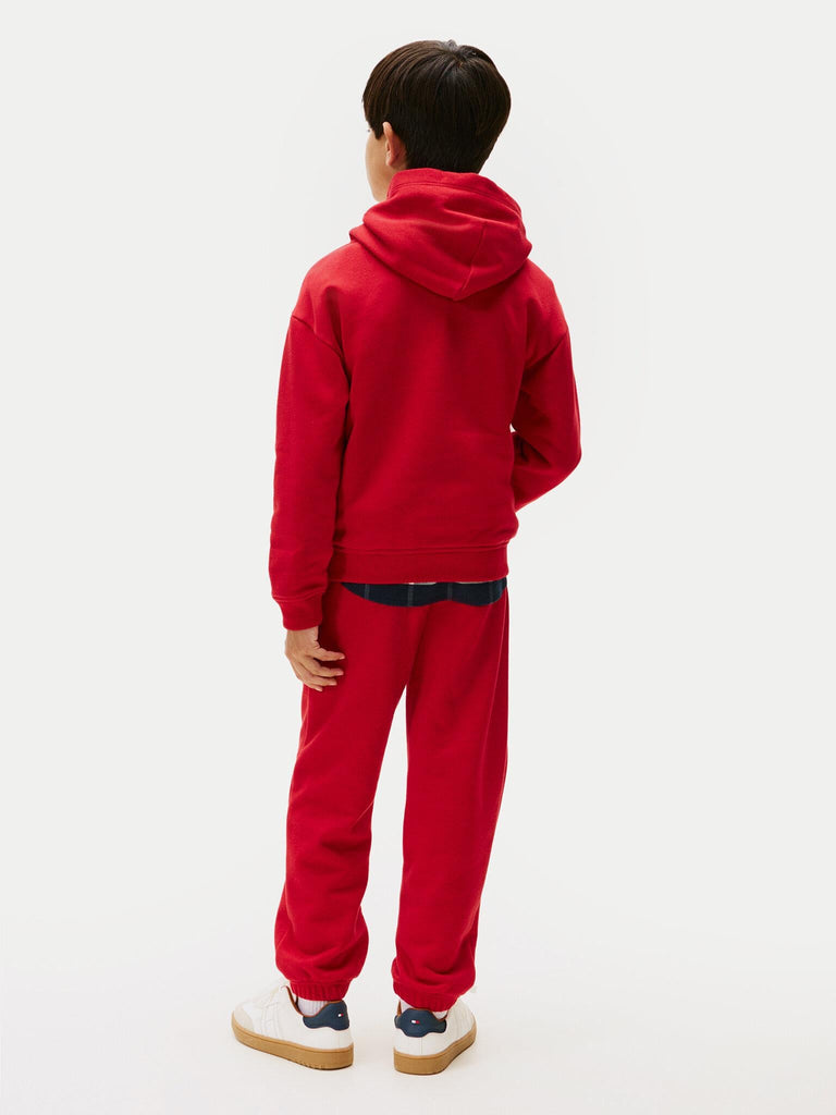 TOMMY HILFIGER FLAG HOODIE