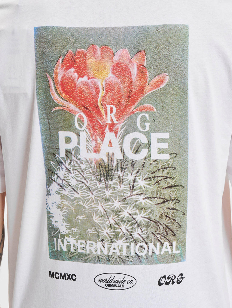 JACK AND JONES JORCASABLANCA BACK TEE SS CREW NECK