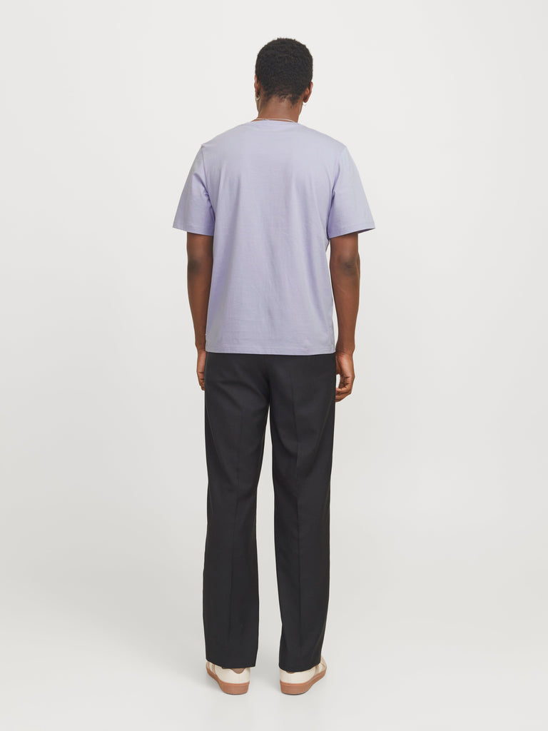 JACK AND JONES JJEORGANIC BASIC TEE SS O-NECK NOOS