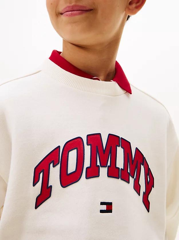 TOMMY HILFIGER VARSITY RAISED PRINT SWEATSHIR