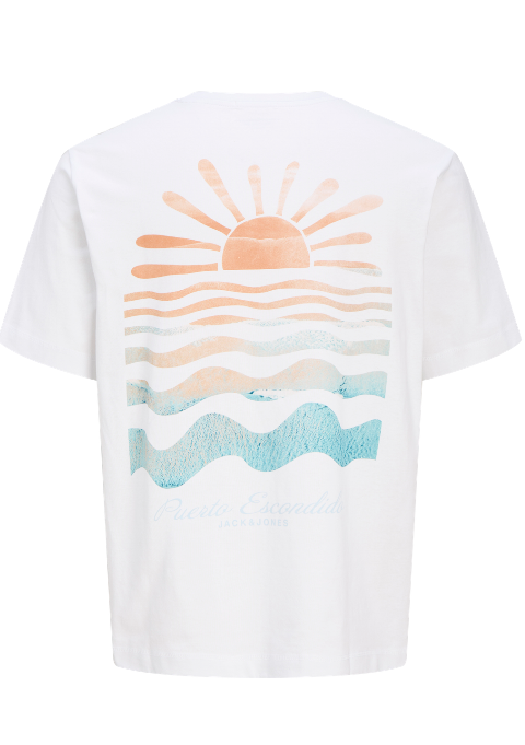 JACK JONES KIDS JORCANGGU SUMMER PICTURE TEE SS CN MNI