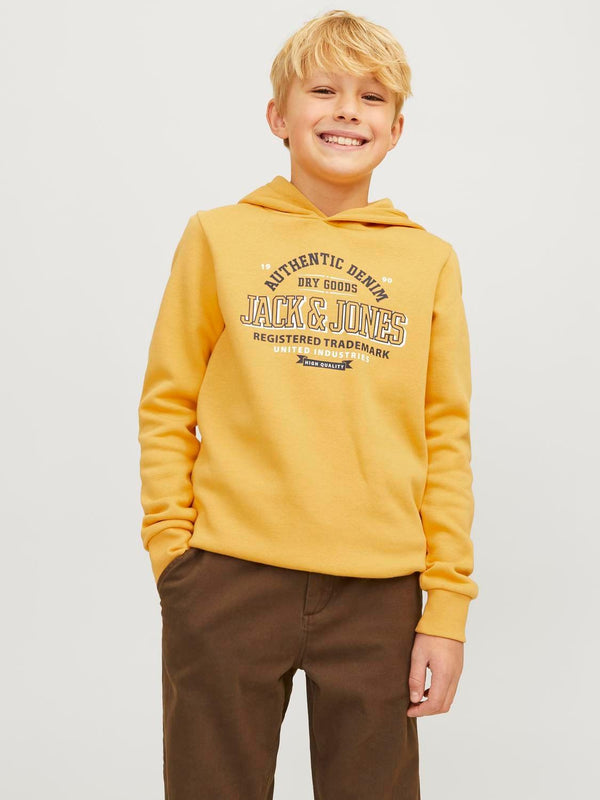 JACK JONES KIDS JJELOGO SWEAT HOOD 2 COL 24/25 NOOS JNR