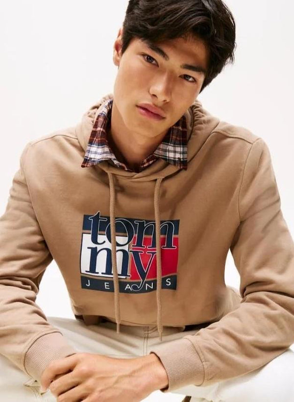 TOMMY JEANS TJM REG RWB FLAG HOO