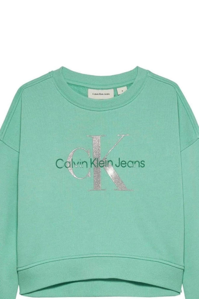 CALVIN KLEIN JEANS GLITTER MONOLOGO CN SWEATSHIRT