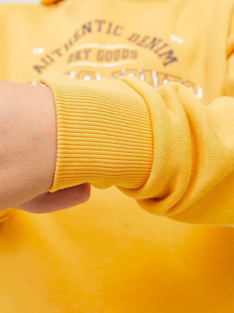 JACK JONES KIDS JJELOGO SWEAT HOOD 2 COL 24/25 NOOS JNR