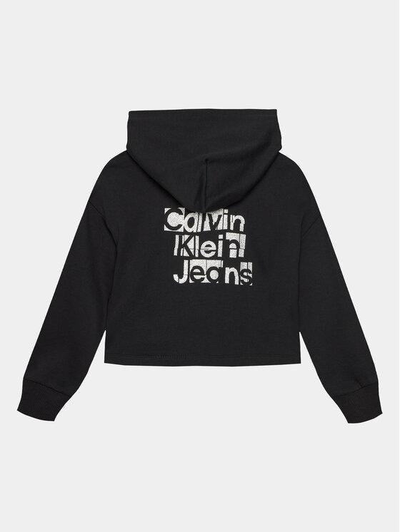 CALVIN KLEIN JEANS METALLIC CKJ BACK LOGO HOODIE