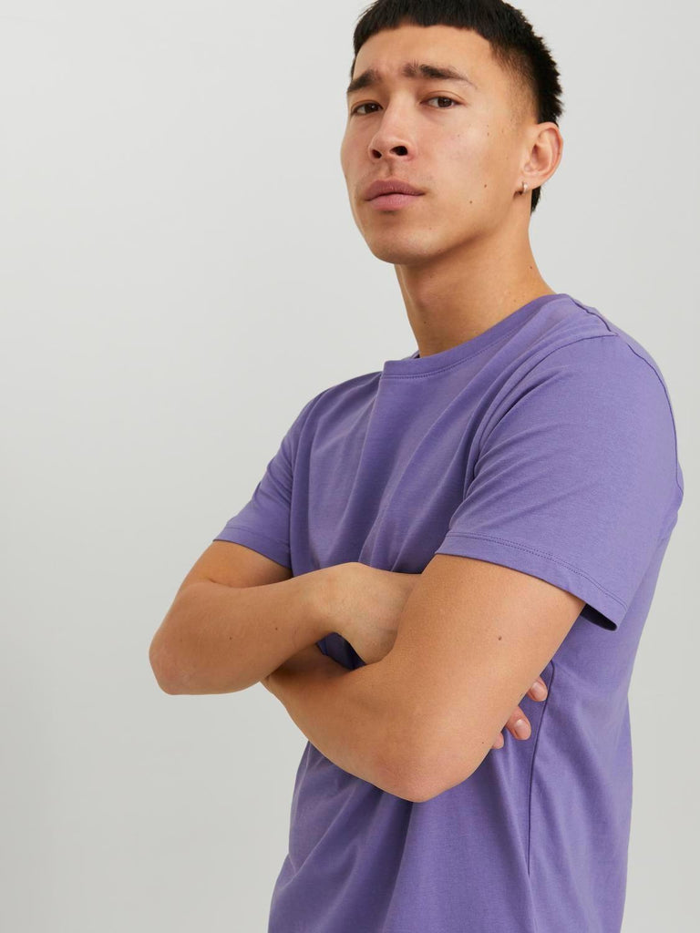 JACK AND JONES JJEORGANIC BASIC TEE SS O-NECK NOOS