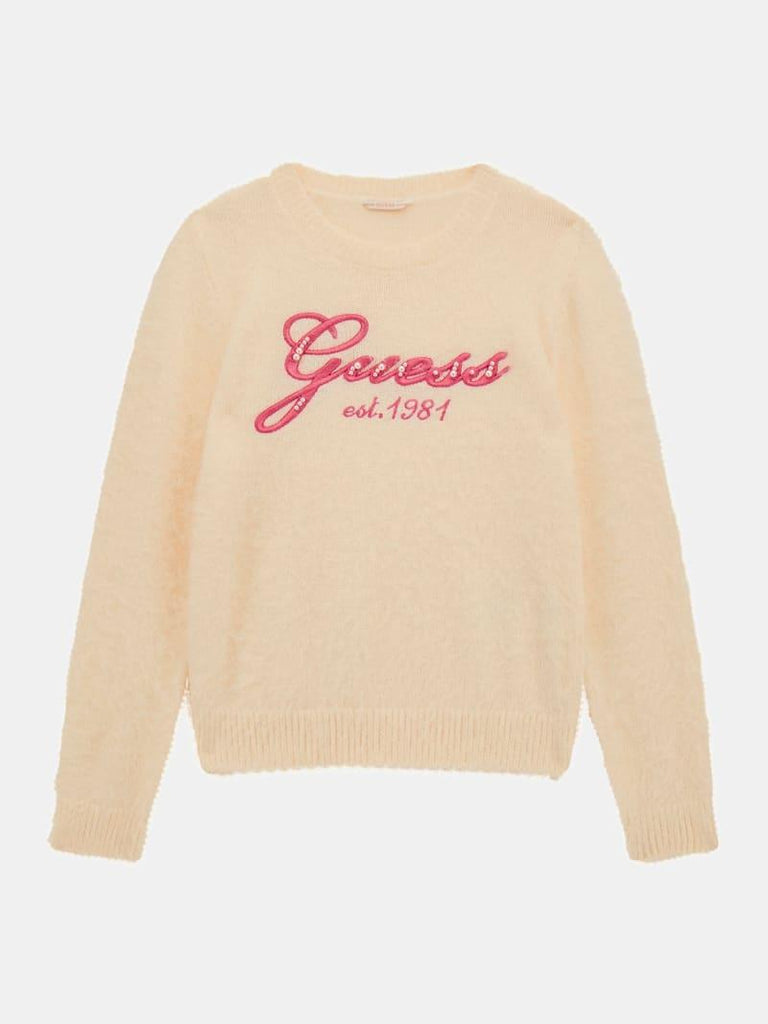 GUESS LS SWEATER