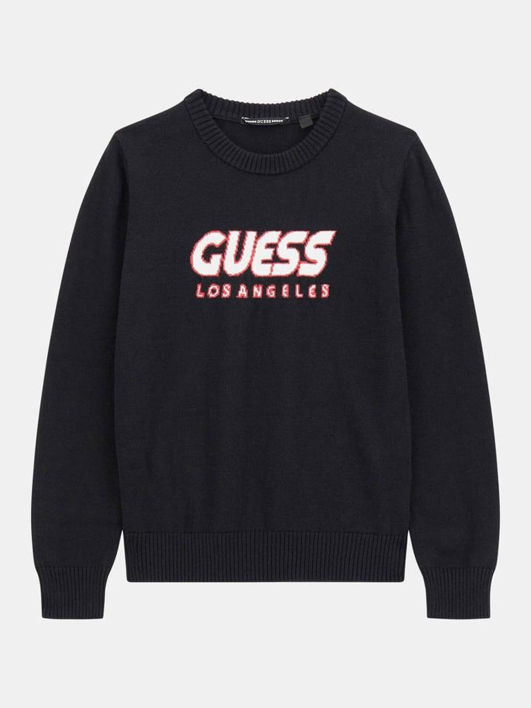 GUESS LS SWEATER