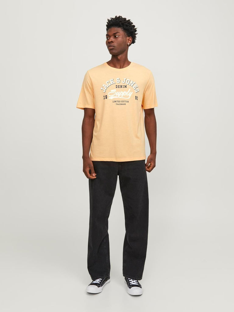 JACK AND JONES JJELOGO TEE SS O-NECK 2 COL SS24 SN