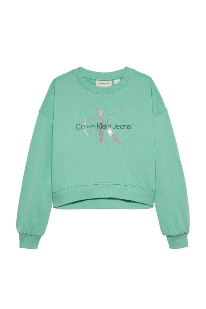 CALVIN KLEIN JEANS GLITTER MONOLOGO CN SWEATSHIRT