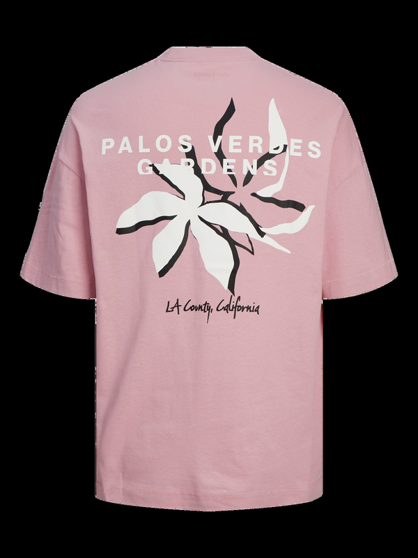 JACK AND JONES JORFARO BACK TEE SS CREW NECK