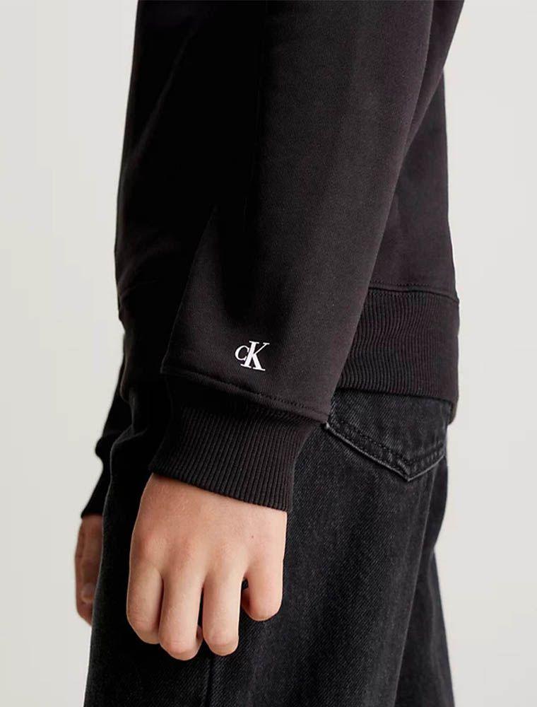 CALVIN KLEIN JEANS INST. LOGO REG. TERRY HOODIE
