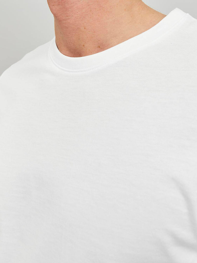 JACK AND JONES JJEORGANIC BASIC TEE SS O-NECK NOOS
