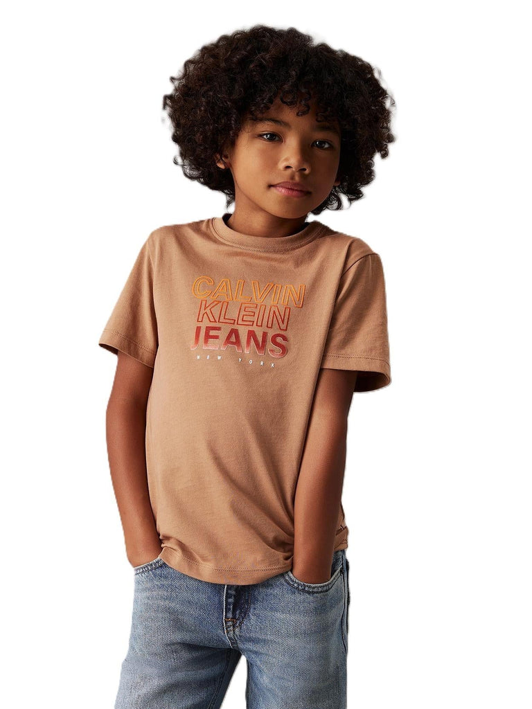 CALVIN KLEIN JEANS GRADIENT FLOCK LOGO SS T-SHIRT