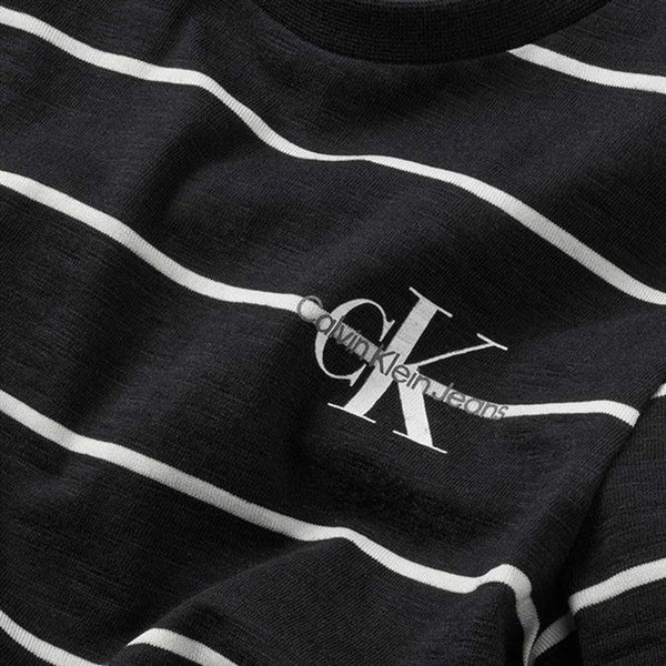 CALVIN KLEIN JEANS PRINT SUNREVEAL STRIPE SS TSHI