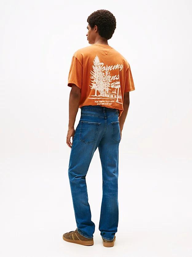 TOMMY JEANS SCANTON SLIM DI6163