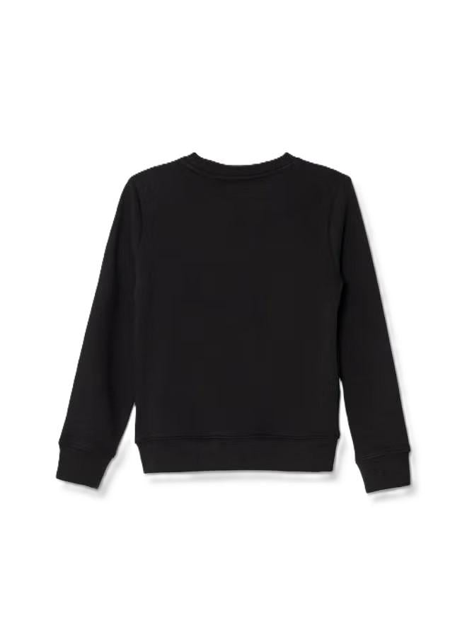 CALVIN KLEIN JEANS CHEST INST. LOGO REGULAR CN